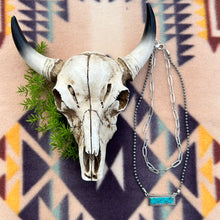 Load image into Gallery viewer, Melissa Bar Necklace