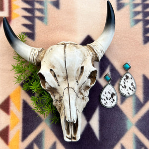 Fort Worth Earrings